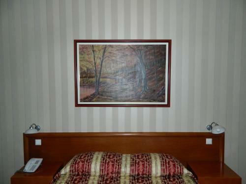 Hotel Balkana Vidovi?
