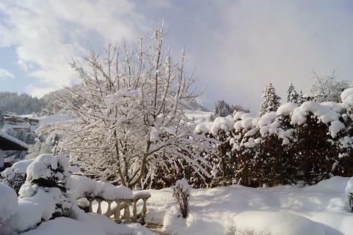 Apartamento Alpen Crystal