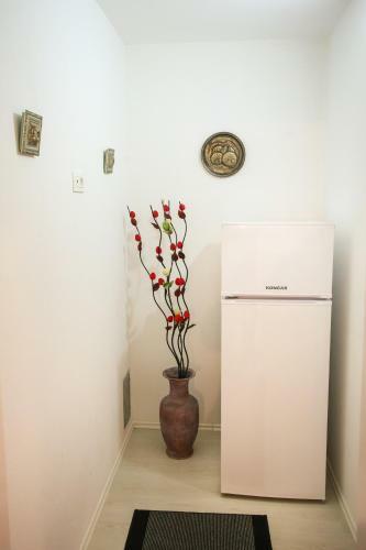 Hostal Guesthouse Aurora