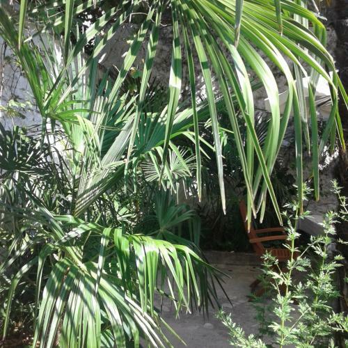 Apartamento Palmera