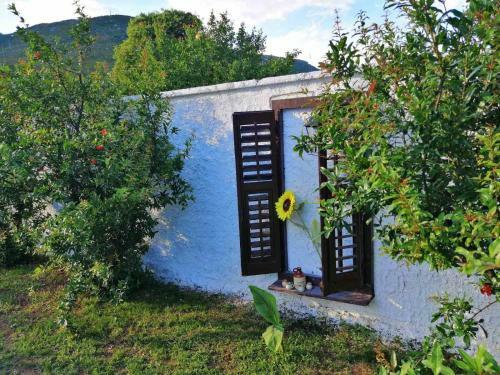Villa Vacation House Vila Guma Rastani Mostar