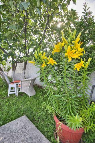 Villa Vacation House Vila Guma Rastani Mostar