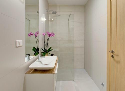 Luxury Apartment Concept