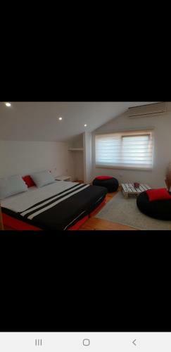 Hostel Enardi