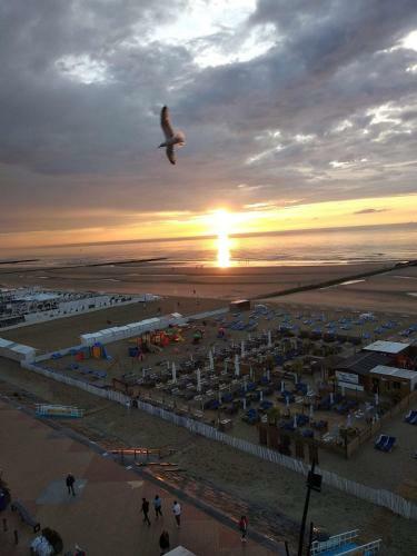 Apartamento Appartement Blankenberge Zeedijk