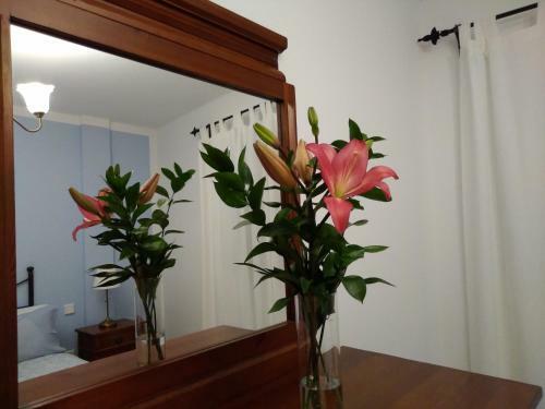 Apartamentos Casa Cipri