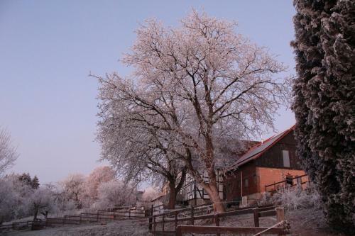 Apartamento House In The Country
