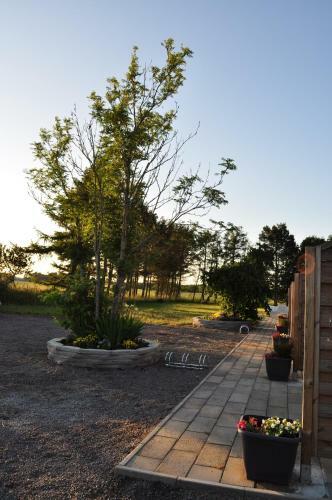 Apartamenty Molle