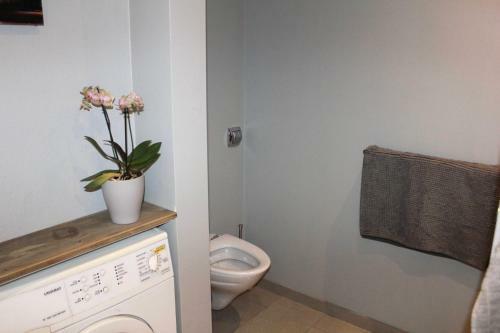 Apartamento Lothani Luxury Inn