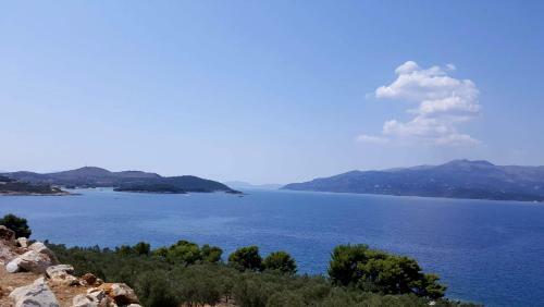Apartamento White Residence1 - Cirasola Home, Very Nice