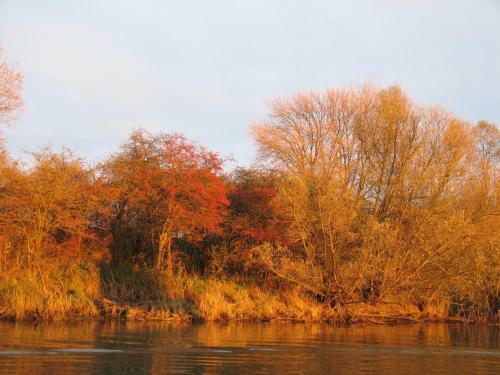 Albergue Bed And Breakfast De Biesbosch - In 't Riet