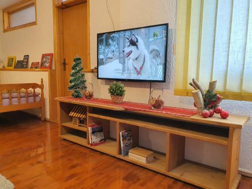 Villa Vila - Apartmani Golijanin