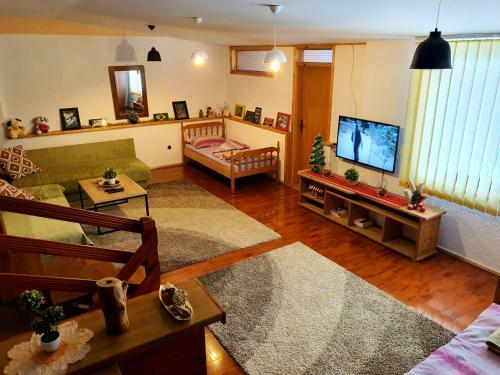 Villa Vila - Apartmani Golijanin