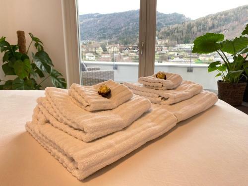 Apartamento Luxus Penthouse Bregenz Feldmoos