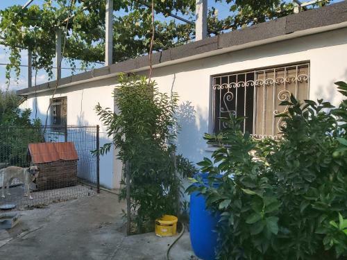 Saint Joseph's Farm Guest House
