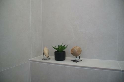 Apartamento Kirschbluetenappartements
