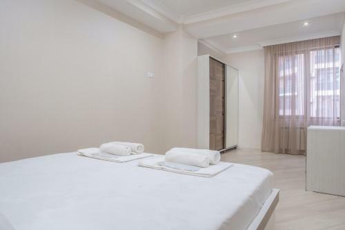Central Yerevan 2 Bedroom Apartment,north Avenue