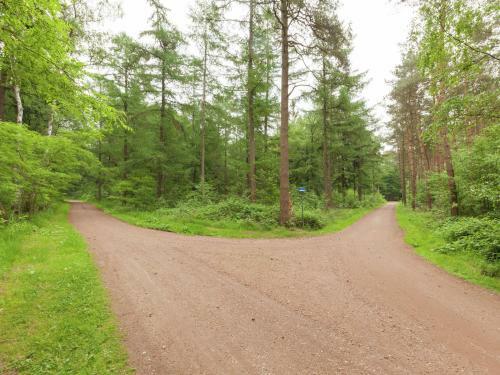 Cozy Holiday Home Near Forest In Baarn
