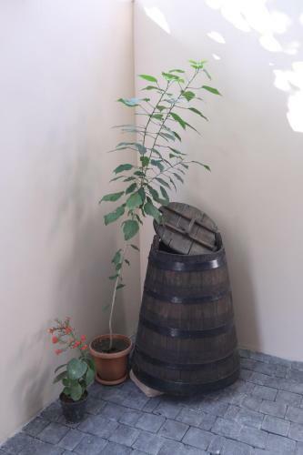 Apartamento Green Rose Studio - Self Checkin - Garden - Bbq