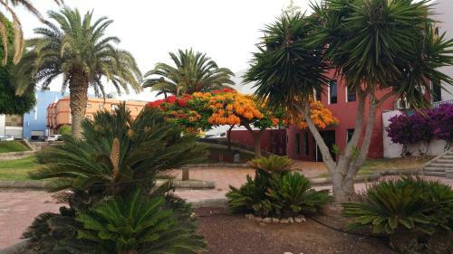 Apartamento Casa Bamb�