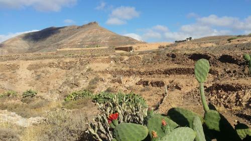 Casa Blas
