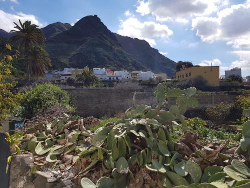 Apartamento Casa Ana Con Balc�n