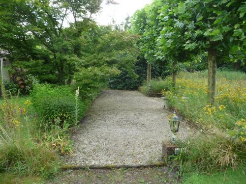 Bed & Breakfast Selatuinen