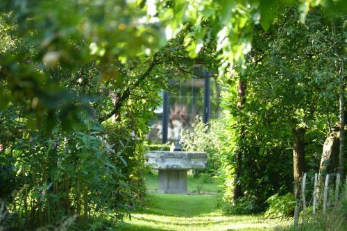 Bed & Breakfast Selatuinen