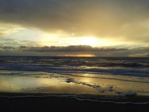 Bed & Breakfast Homestay Texel