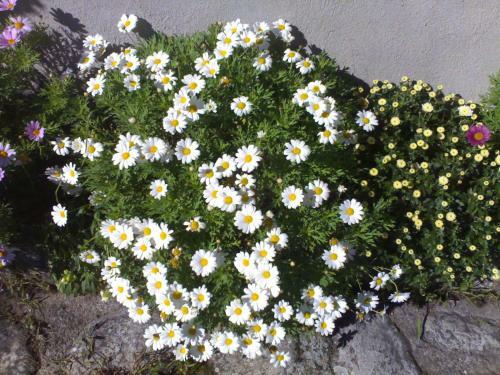 Agroturismo Zaguan