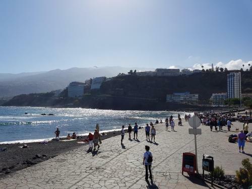Apartamento C�ntrico, Amplio Y Con Balc�n Cerca Del Mar