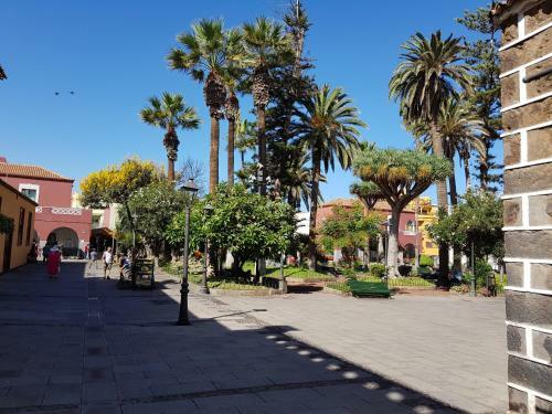 Apartamento C�ntrico, Amplio Y Con Balc�n Cerca Del Mar