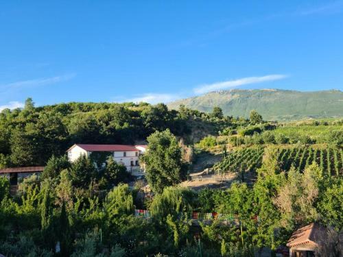 Agroturismo Nano Bio Food