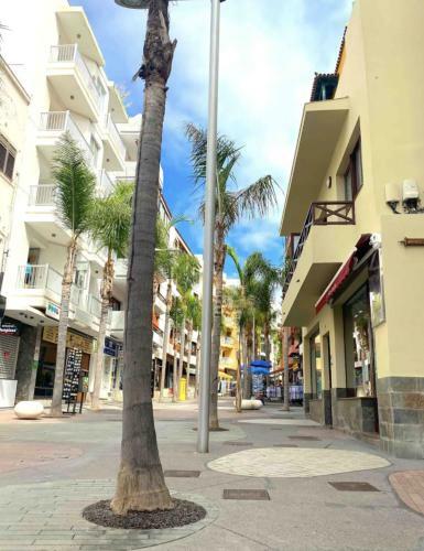 Apartamento Estudio Muy Cerca de La Playa.
