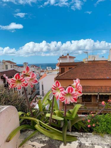 Apartamento Iriarte52