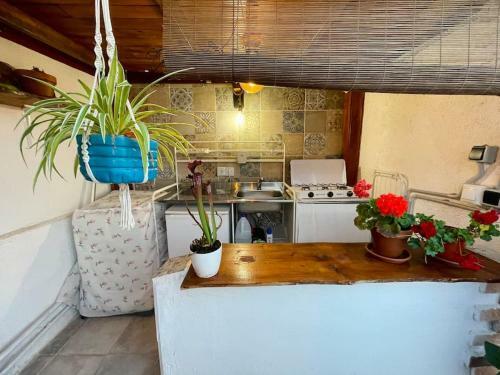 Casa Dionea, Puerto de La Cruz