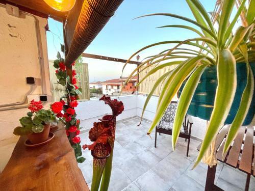 Casa Dionea, Puerto de La Cruz