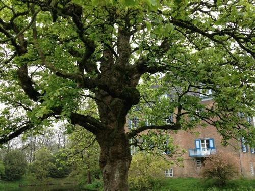 Bed & Breakfast Kasteel Ophemert