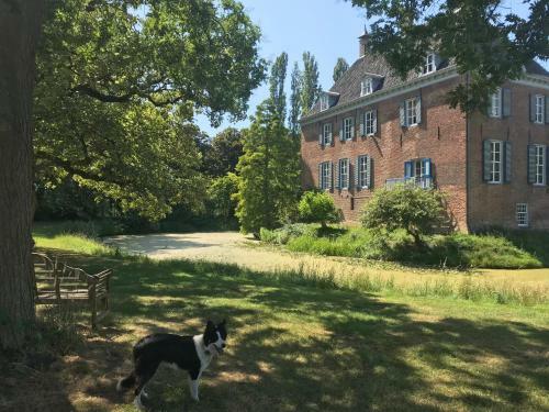 Bed & Breakfast Kasteel Ophemert