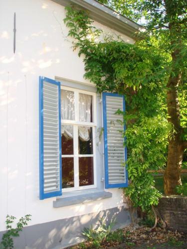 Bed & Breakfast Kasteel Ophemert