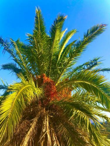 Agroturismo Finca La Sabina