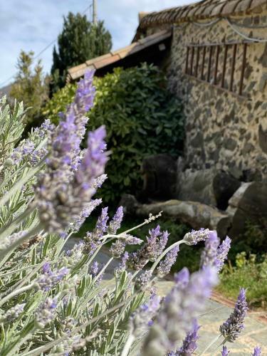 Agroturismo La Cabanya de Can Planes Un Petit Gran Espai