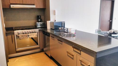 Tastefully Appointed 1 Br Apartment In Polanco