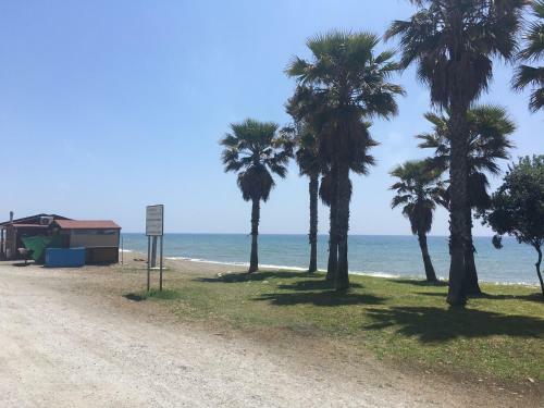 Apartamento �tico A 50 Metros de La Playa Will