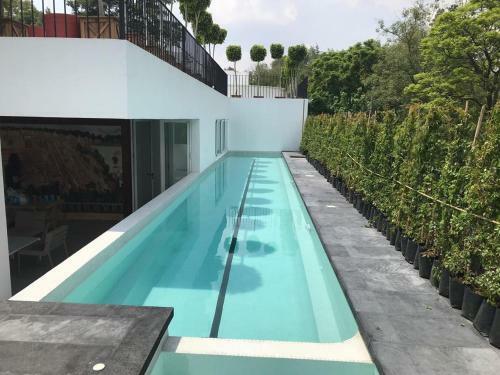 Hostal Hermosa Casa En San Angel