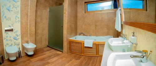 Villa Luxury Houses In Dobrinishte