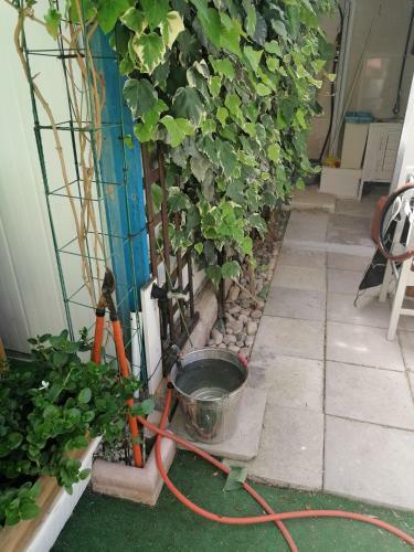 Apartamento Entire Prefabricated Garden Flat 1350m From Beach