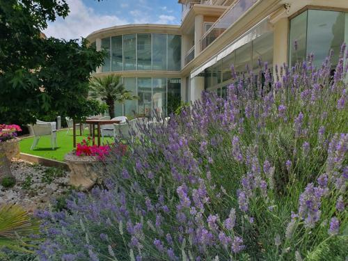 Hotel & Apartaments Thalassa Sport & Spa
