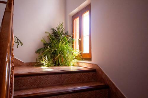 Hostal J.j. Marlene