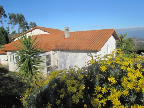 Hostal Infincavacations Chalet Y Apartamentos